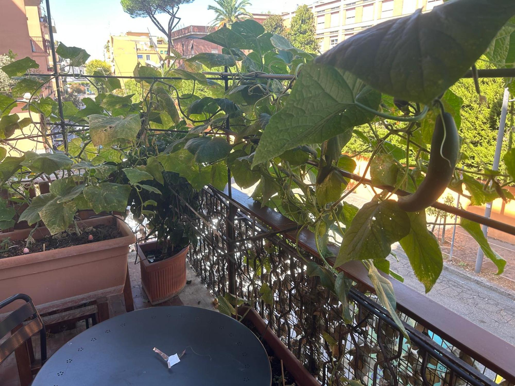 La Fontana Di Carlotta Acomodação com café da manhã Roma Exterior foto