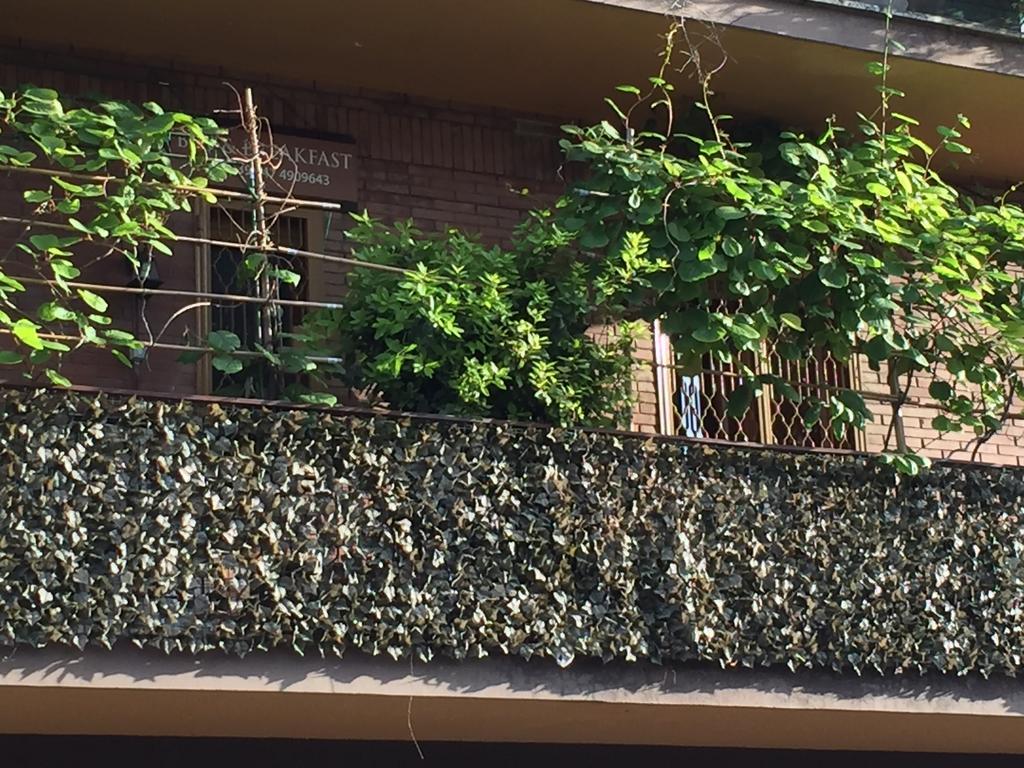 La Fontana Di Carlotta Acomodação com café da manhã Roma Exterior foto